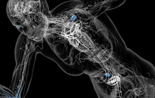 Какие чувства у человека У человека девять чувств, а не пять