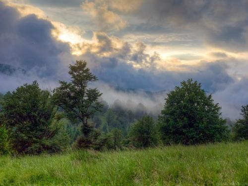 Трансильвания интересные факты. Пугающая Трансильвания