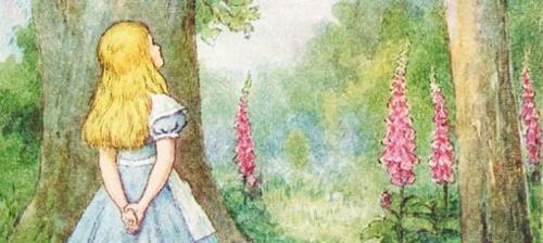 Не грусти сказала Алиса рано или поздно все встанет на свои места. 25 лучших цитат из «Алиса в стране чудес»