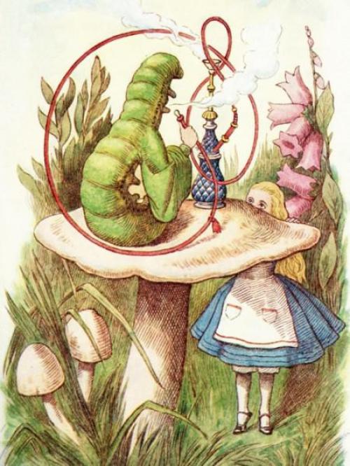 Не грусти сказала Алиса рано или поздно все встанет на свои места. 25 лучших цитат из «Алиса в стране чудес»