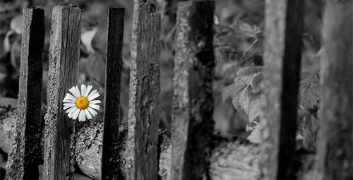 Рассказы с психологическим смыслом. Короткие рассказы для души — небольшие душевные истории со смыслом