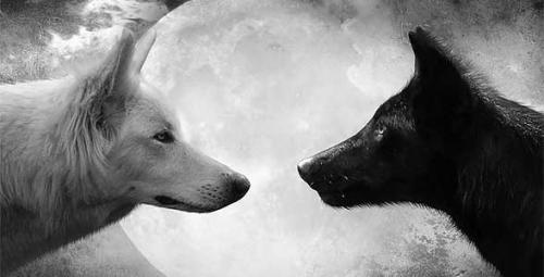 Рассказы с психологическим смыслом. Короткие рассказы для души — небольшие душевные истории со смыслом