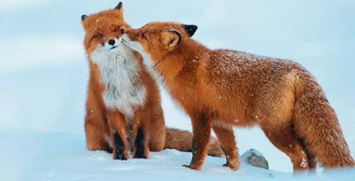 Рассказы с психологическим смыслом. Короткие рассказы для души — небольшие душевные истории со смыслом