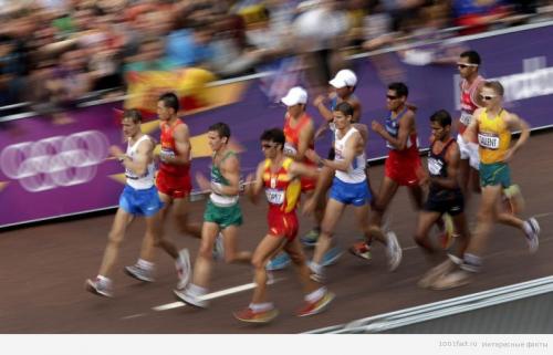 Интересные факты о ходьбе. Факты о спортивной ходьбе