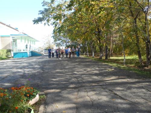 Интересные факты о ходьбе в цифрах