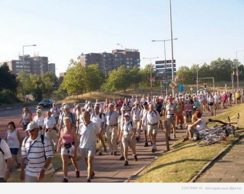 Интересные факты о ходьбе. Факты о спортивной ходьбе