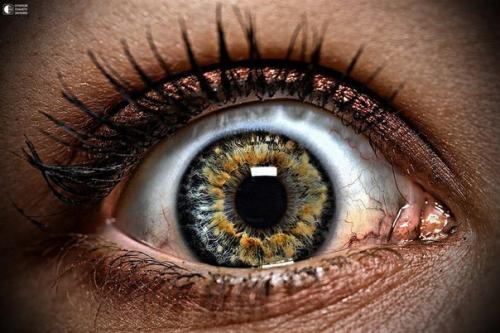 Интересные факты о восприятии человека. 