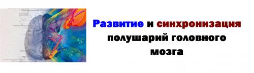ВАЖНО...Развитие и синхронизация полушарий головного мозга