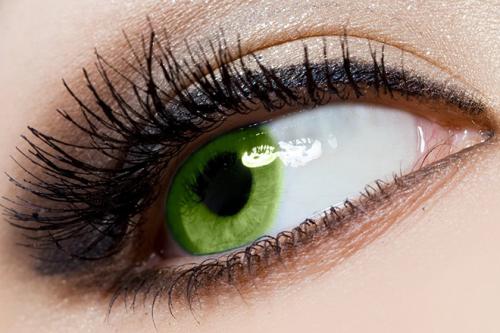 Интересные факты о 5 чувствах человека. Невероятные факты про органы чувств человека