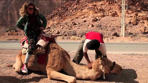 Орел и решка интересные факты о программе. 10 интересных фактов о тревел шоу Орел и Решка