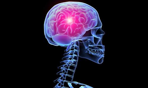 Мозг влюбленного человека самый активный