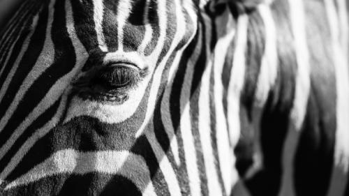 Как впасть в депрессию и похудеть. 10 гарантированных способов впасть в депрессию