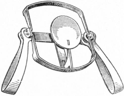 Каменная куница, как избавиться. Ласки в курятнике