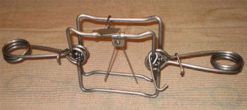 Каменная куница, как избавиться. Ласки в курятнике