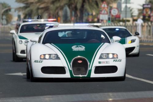 Интересные факты о дубае. 8 фактов про Дубай, о которых вам не расскажут