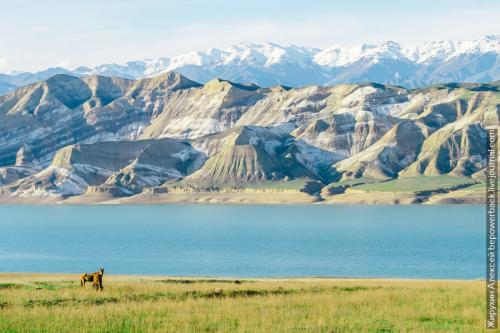 Интересные факты о Киргизии. 10 фактов о Киргизии глазами туриста