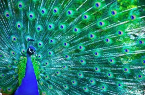 Невероятные факты, в которые очень сложно поверить