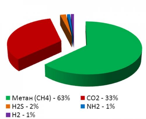 Природный газ интересные факты. 11 удивительных фактов о природном газе 06