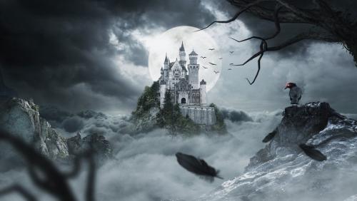 Самое интересное про ворону. Вороны — интересные факты