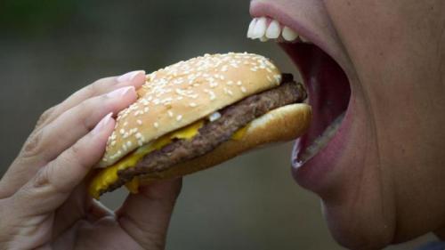 Что у лося на подбородке. Настоящая загадка: для чего человеку подбородок?