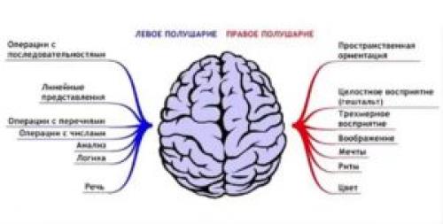 Интересные математические факты в медицине. Применение математики в медицине: примеры