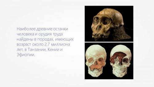 Эфиопия интересные факты. 16 удивительных фактов об Эфиопии