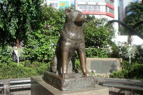 Интересные факты о железной дороге. Железная дорога — интересные факты 03