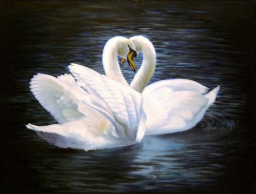 Лебеди верность. Лебединая верность