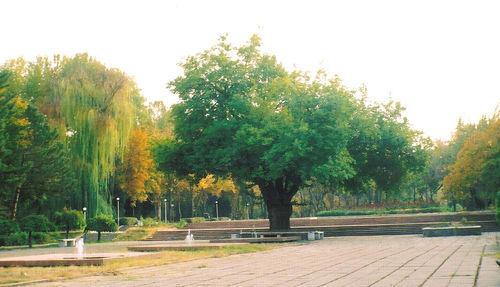 Узбекистан интересные факты о стране. Интересные факты об Узбекистане Разное 06