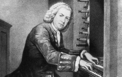 Что такое орган. 