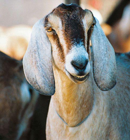 Интересные факты о природе летом. # 9: Я ВСЕ ВИЖУ