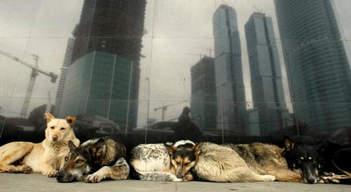 Что вы не знали о Москве. 15 интересных фактов о Москве