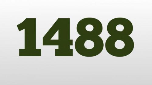 Что значит 14 88 у националистов. Что значит 14/88? 01