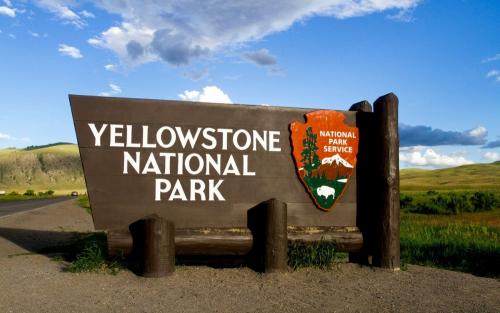 Йеллоустонский национальный парк интересные факты. Флора и фауна