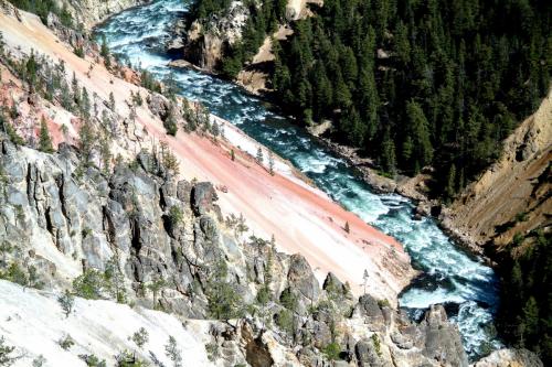 Йеллоустонский национальный парк интересные факты. Флора и фауна