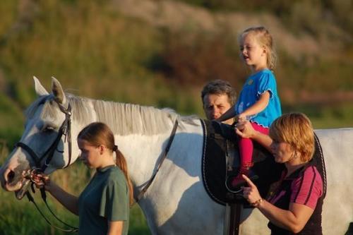 Эволюционная цепочка развития животных организмов. Как шла эволюция животных