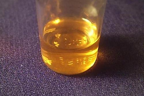 Интересные факты о науке для детей. 10 самых интересных научных фактов