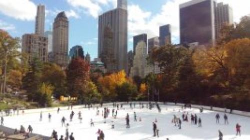 Парк в америке в Нью-Йорке. 4 отзыва о Центральном парке Нью-Йорка