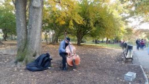 Парк в америке в Нью-Йорке. 4 отзыва о Центральном парке Нью-Йорка