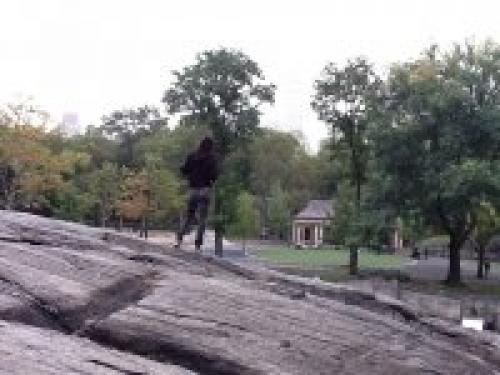 Парк в америке в Нью-Йорке. 4 отзыва о Центральном парке Нью-Йорка