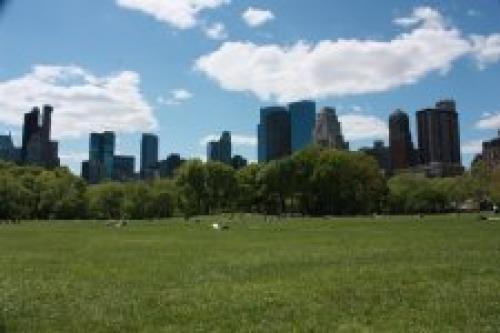 Парк в америке в Нью-Йорке. 4 отзыва о Центральном парке Нью-Йорка