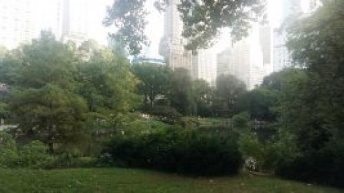 Парк в америке в Нью-Йорке. 4 отзыва о Центральном парке Нью-Йорка