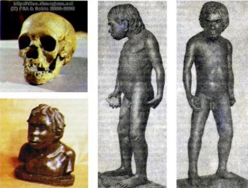 Эволюция человека названия. Просмотр содержимого документа «Таблица Этапы эволюции человека»