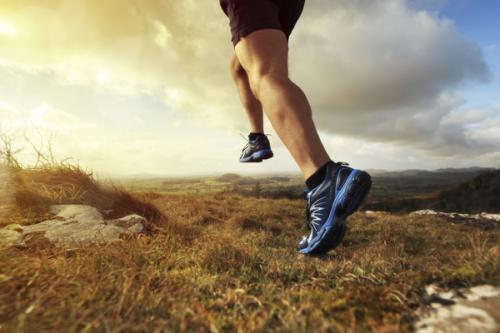 Эволюция человека в будущем. Человек в будущем: изменения
во внешности