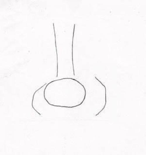 Рисуем нос карандашом поэтапно для начинающих. Как рисовать нос