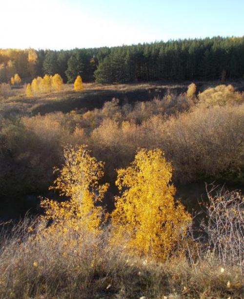 Информация о городе аркаим. Где находится? 08