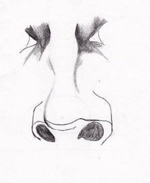 Рисуем нос карандашом поэтапно для начинающих. Как рисовать нос