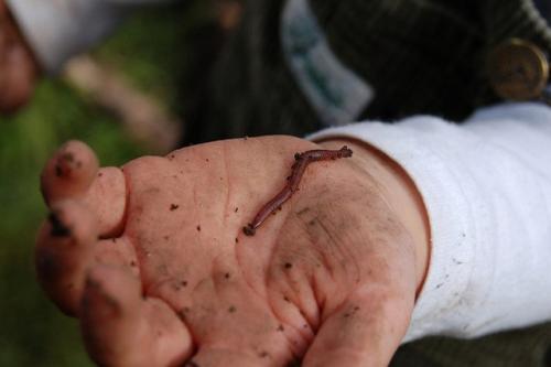 Необычные профессии. Самые интересные профессии и способы заработать деньги