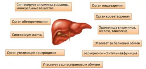 Физическое тело картинки