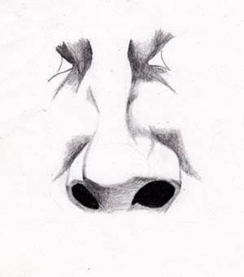 Рисуем нос карандашом поэтапно для начинающих. Как рисовать нос